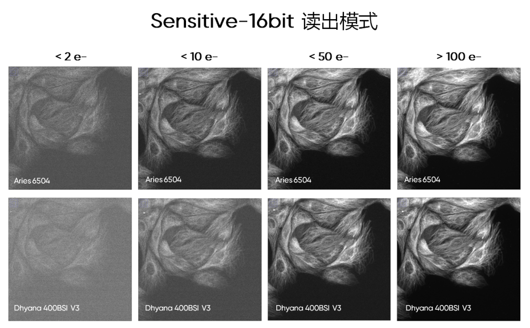 1-Sensitive 16bit