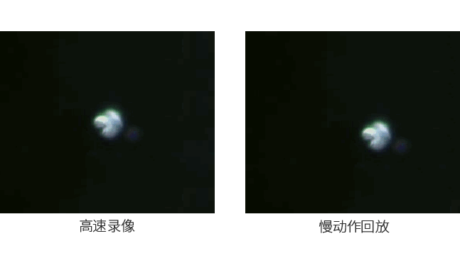 視頻流分析