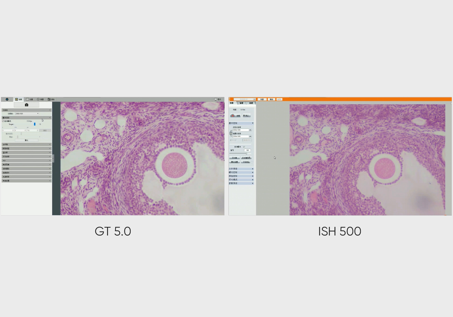 GT5.0 VS ISH500