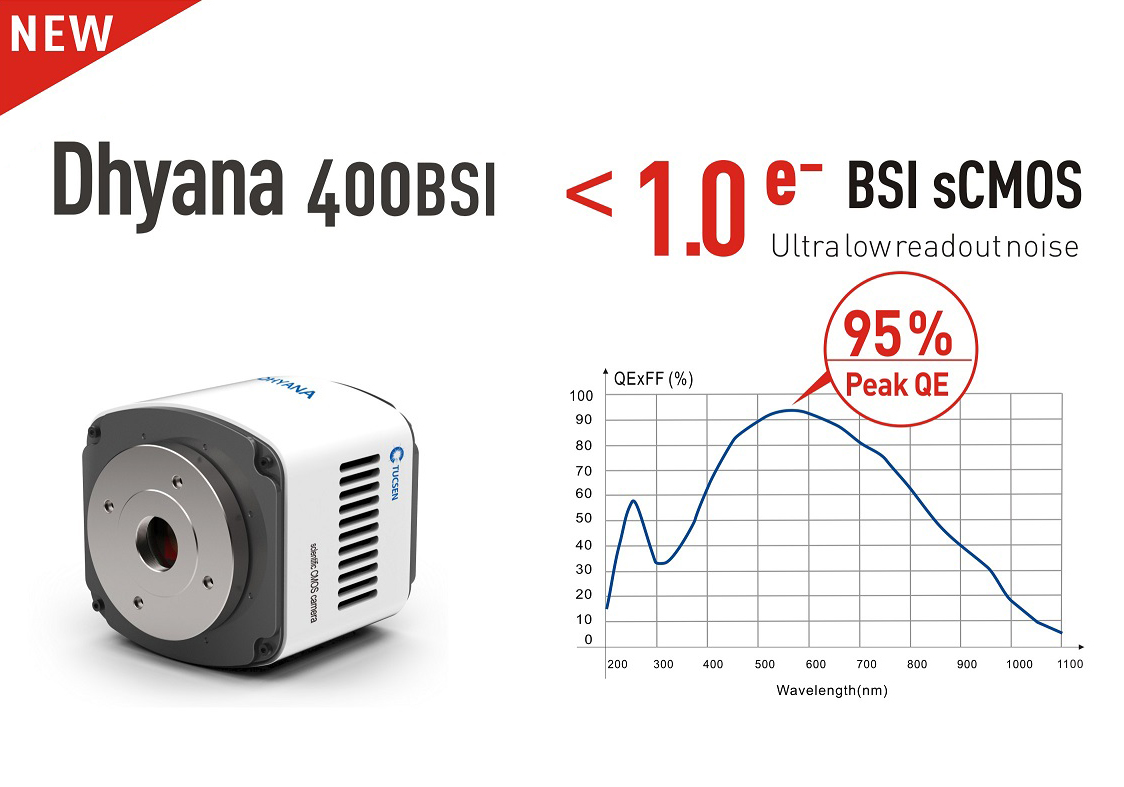 鑫圖發(fā)布新一代超高信噪比sCMOS科學(xué)相機(jī)，Dhyana 400BSI!
